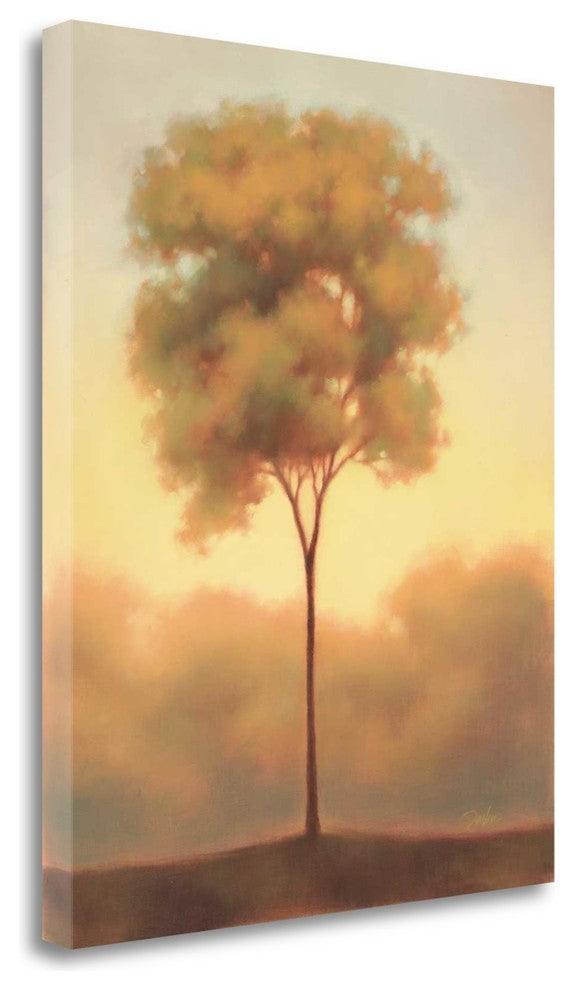 "Solitude III" By Darlou Gams,Ready to Hang Giclee Print on Gallery Wrap Canvas