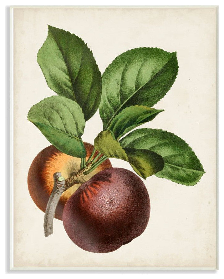 Vintage Fruit Painting, 12"x18"
