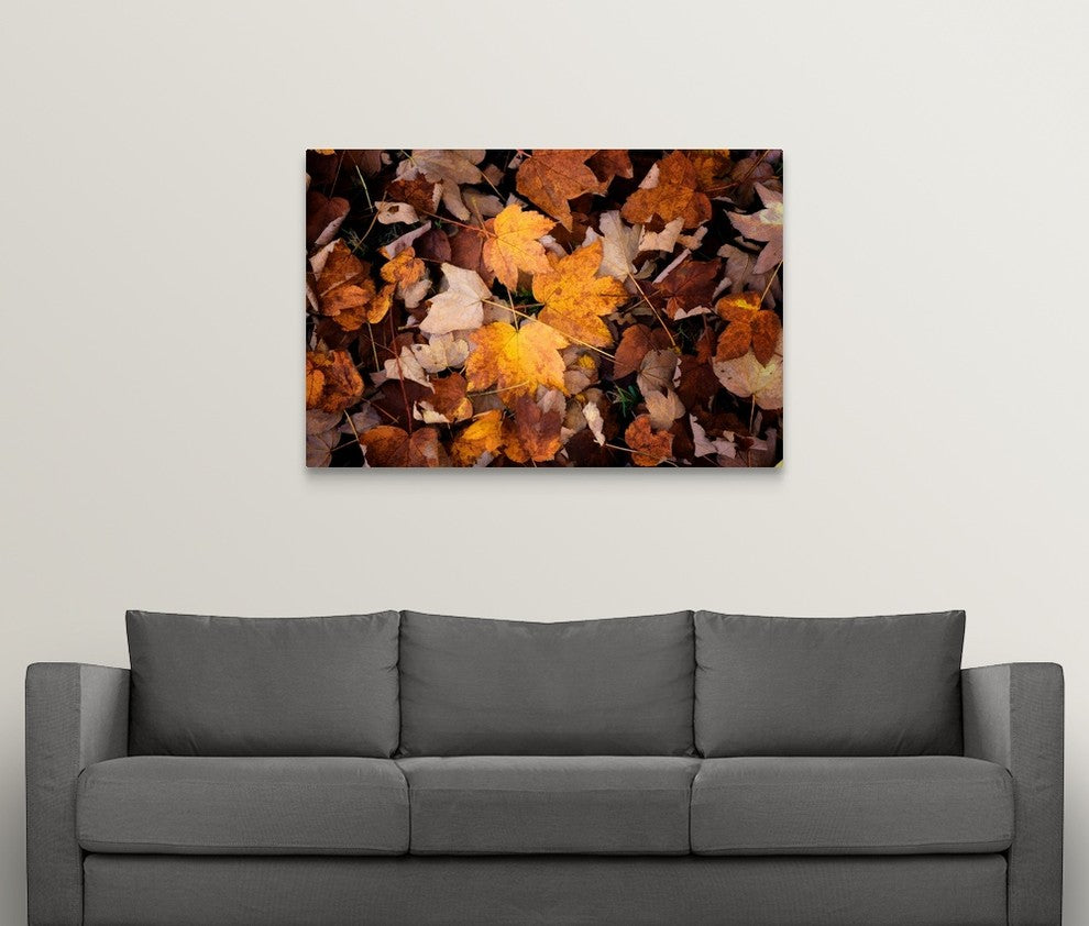 "Sweet Delusion" Wrapped Canvas Art Print, 48"x32"x1.5"