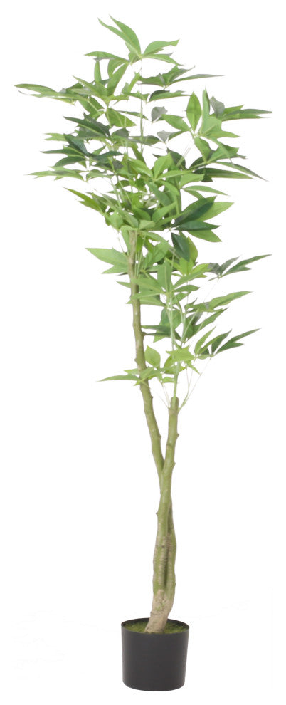 Coles Artificial Money Tree, Green, 31.5wx31.5dx63h
