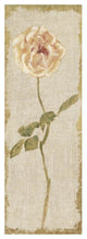 "Pale Rose Panel on White Vintage" Digital Paper Print by Cheri Blum, 26"x74"