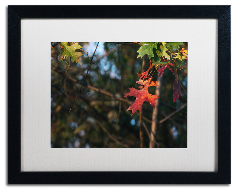 Jason Shaffer ''Oak'' Matted Framed Art, Black Frame, White Mat, 20x16