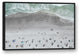 Aerial Beach Photo 32x48 Black Floating Framed Canvas