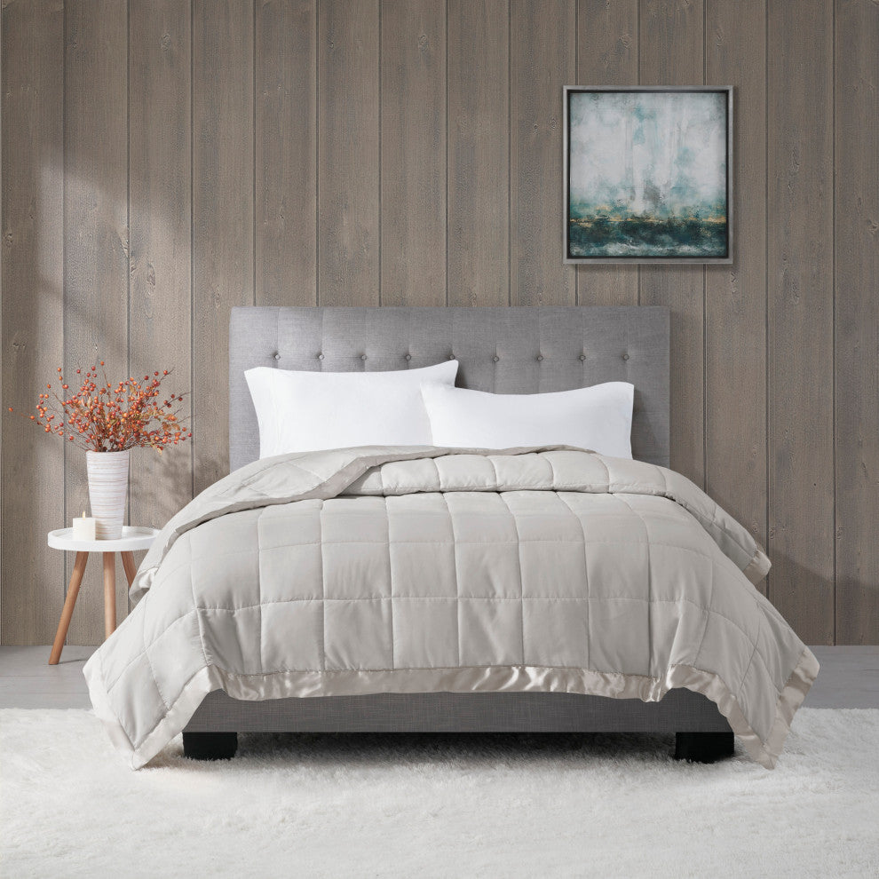 Madison Park Microfiber Blanket, Twin