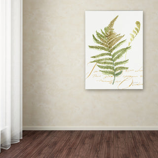 Lisa Audit 'My Greenhouse Fern II' Canvas Art, 24"x18"