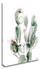 "Prickly Pear" by Green Lili, Print on Canvas, 24"x32"