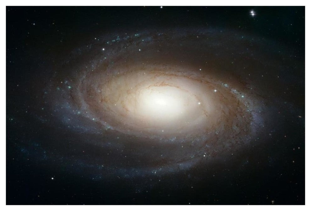 "Spiral Galaxy M81" Digital Paper Print by NASA, 62"x42"