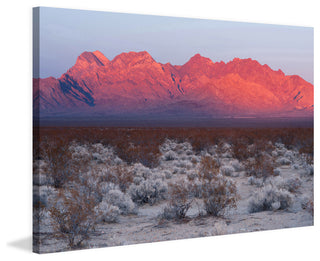 "Red Hills" Painting Print on Canvas