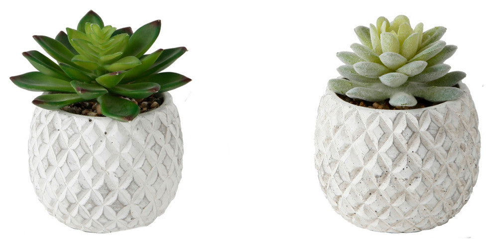 Set Of 2 Pineapple Pot Succ