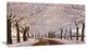 Trees And Road in White Winter, Landscape Canvas Art Print, 32"x16"