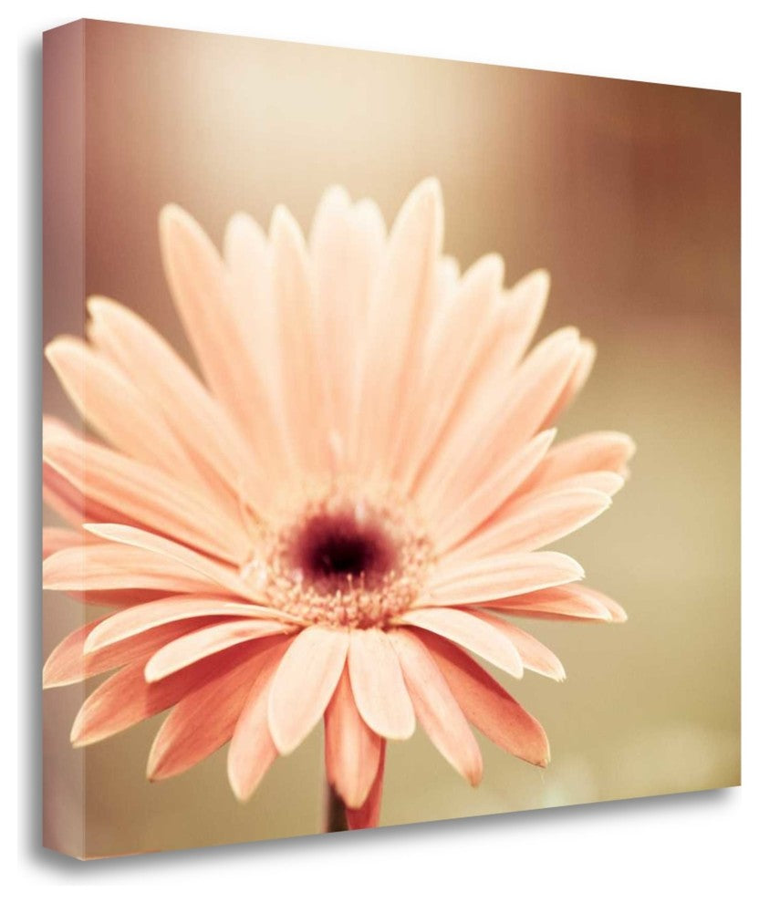 "Peachy Keen" By Carolyn Cochrane, Giclee Print on Gallery Wrap Canvas