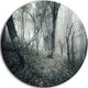 Vintage Forest Filled With Fog, Landscape Photo Round Wall Art, 11"