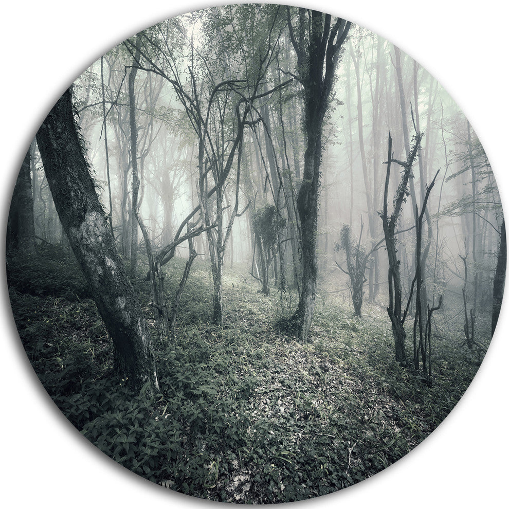 Vintage Forest Filled With Fog, Landscape Photo Round Wall Art, 11"