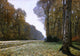 Claude Oscar Monet Le Pave de Chailly, Gallery Wrapped Canvas Print, 18"x27"