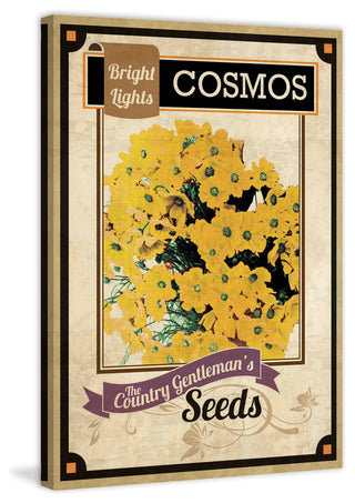 "Flower Packet Cosmos" Painting Print on Canvas