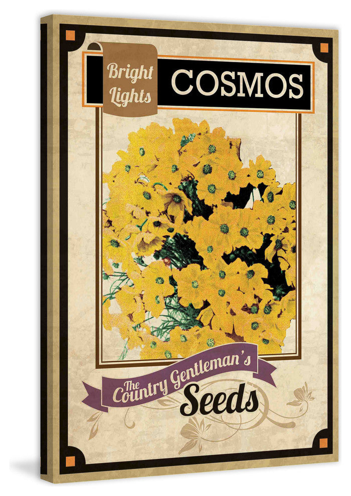 "Flower Packet Cosmos" Painting Print on Canvas