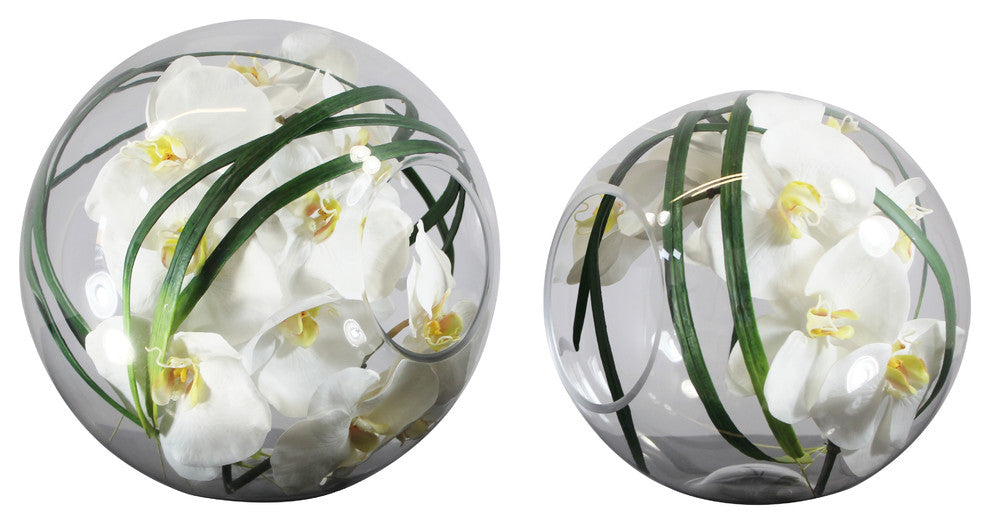 Crosswinds Vase with white Phalaenopsis orchids, 10"x9"