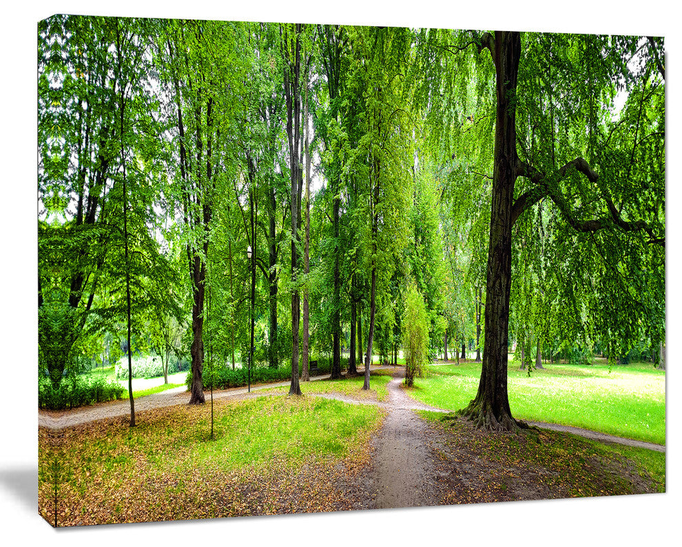 Park in Autumn Panorama, Landscape Canvas Art Print, 60x40