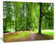 Park in Autumn Panorama, Landscape Canvas Art Print, 60x40