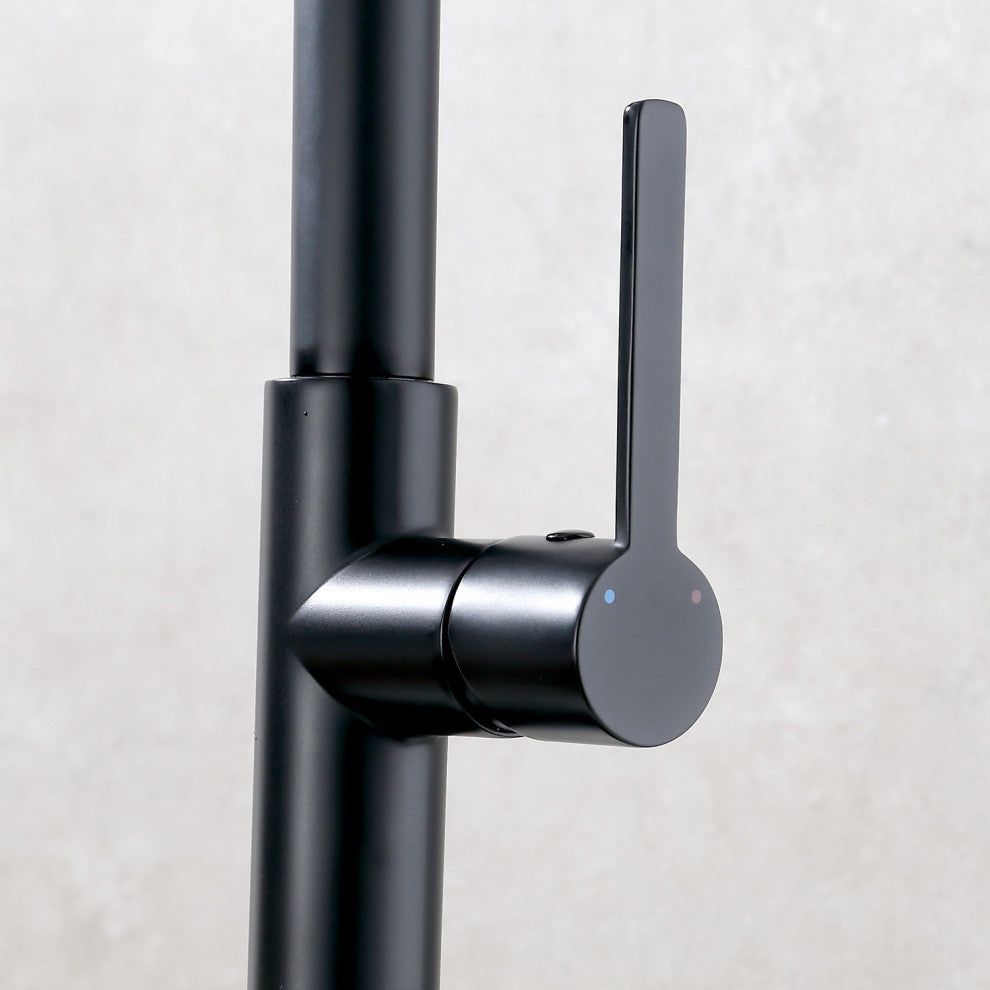 Single Handle Deck Mounted High Arc Pull Out  Kitchen Faucet