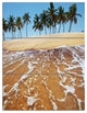 "Tropical Beach With Crystal Waters" Metal Wall Art, 3 Panels, 28"x36"