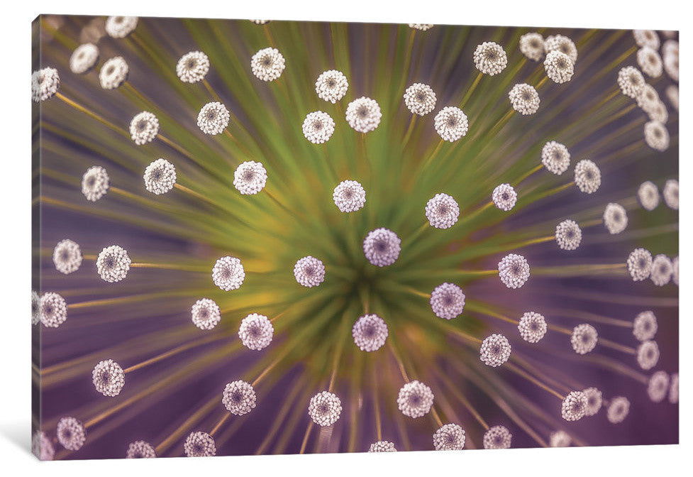 "Colours" by Wave Faber, 18x12x1.5