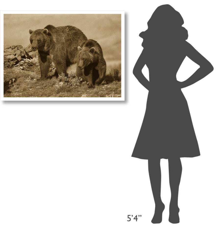 "Grizzly Bear mother with one year old cub, North America" Paper Art, 38"x27.56"