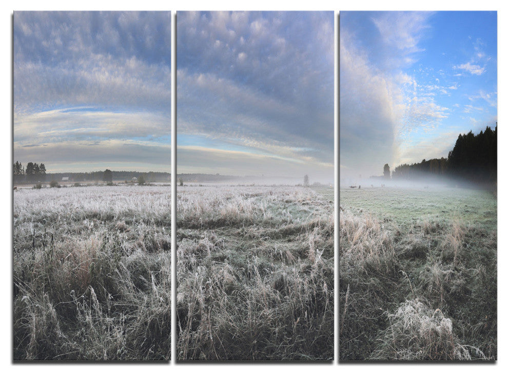 "Hoarfrost on Grass Under Cloudy Sky" Metal Wall Art, 3 Panels, 36"x28"