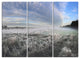 "Hoarfrost on Grass Under Cloudy Sky" Metal Wall Art, 3 Panels, 36"x28"