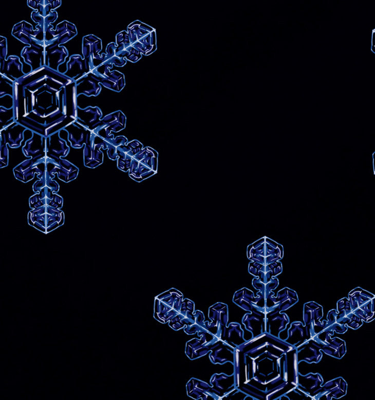 Flurries, Holiday Print Placement, Navy Blue, Set of 4