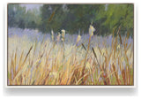 "Whispering Reeds" - Serene Nature Scene