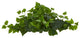 24" London Ivy Artificial Ledge Plant, Real Touch