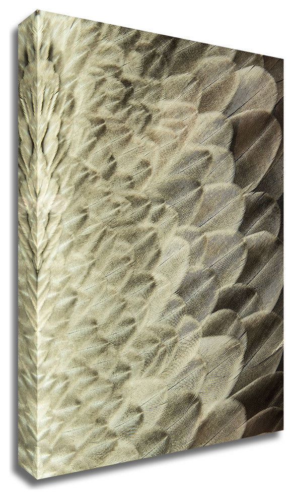 Volture II by Design Fabrikken, Print on Canvas, 25"x35"