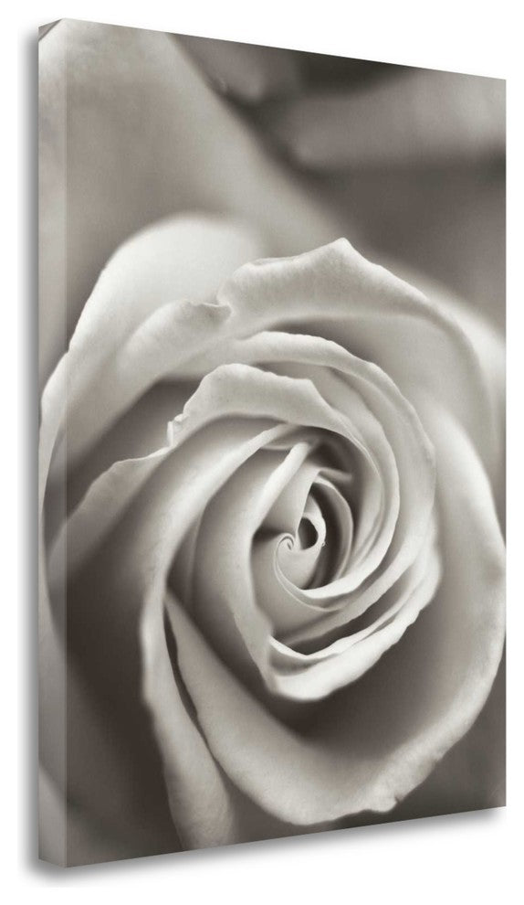 "Florison - 12" By Alan Blaustein, Giclee Print on Gallery Wrap Canvas