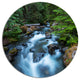 Rushing Water In Forest Creek, Landscape Round Metal Wall Art, 23"