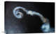 "Looping" Stretched Canvas Giclee by Ionut Harag, 22x15"