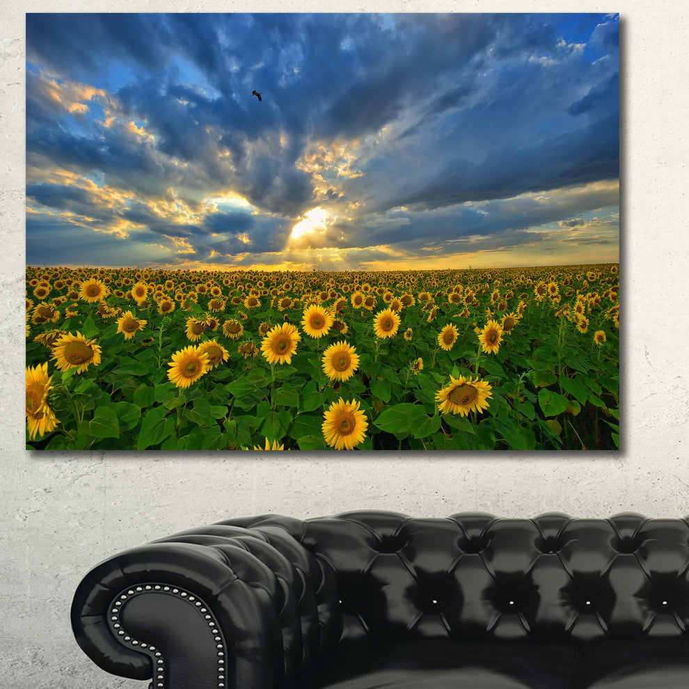 Beauty Sunset over Sunflowers, Landscape Canvas Art Print, 60x40