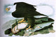John James Audubon The Bald-Headed Eagle From Birds Of America Wrapped Canvas