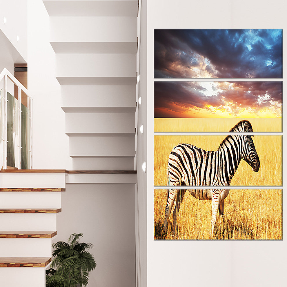 Solitary Zebra in African Grassland, African Canvas Print, 28"x48", 4 Panels