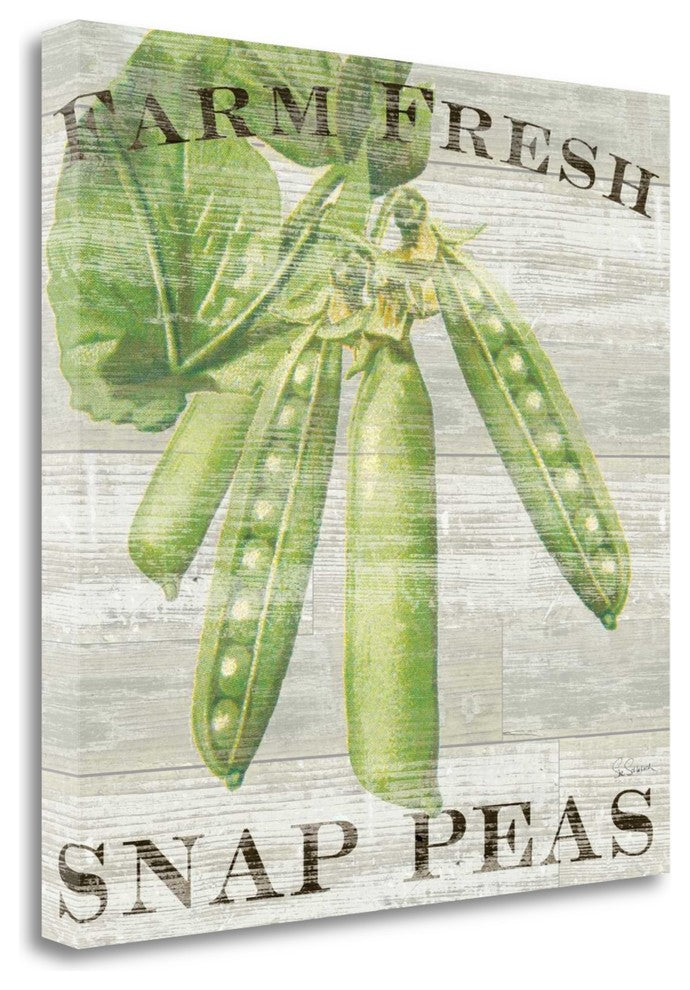 "Farm Fresh Peas" By Sue Schlabach, Giclee Print on Gallery Wrap Canvas