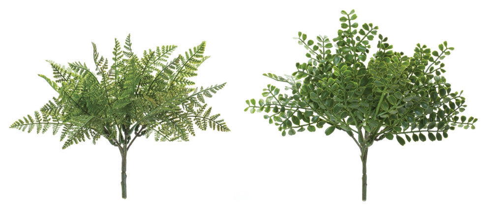 Fern Bush, Set of 12