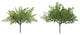 Fern Bush, Set of 12
