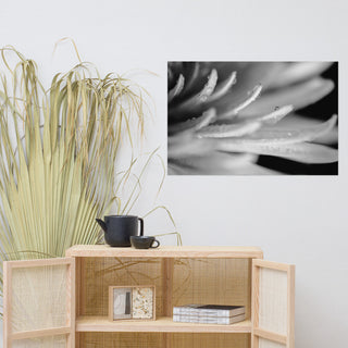 Droplets on Petals Black & White Floral Photo Unframed Wall Art Print, 24" X 36"