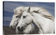 "Blowing" Stretched Canvas Giclee by Bragi Ingibergsson, 18x12"