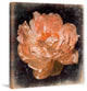 "Peony s Rhythm" Painting Print on Canvas by Aryai