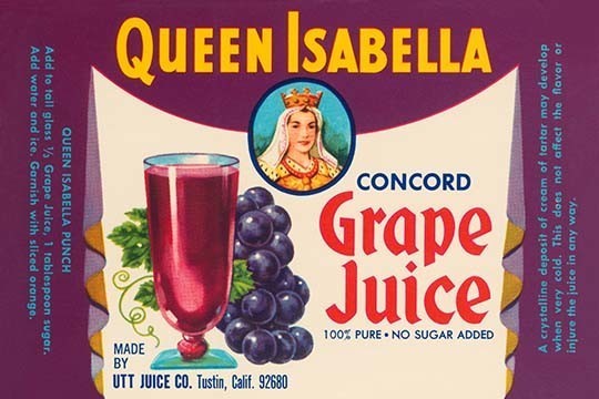 Queen Isabella Concord Grape Juice - Gallery Wrapped Canvas Art 28" x 42"
