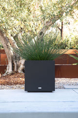 Metallic Series Cube Planter, Black, Large