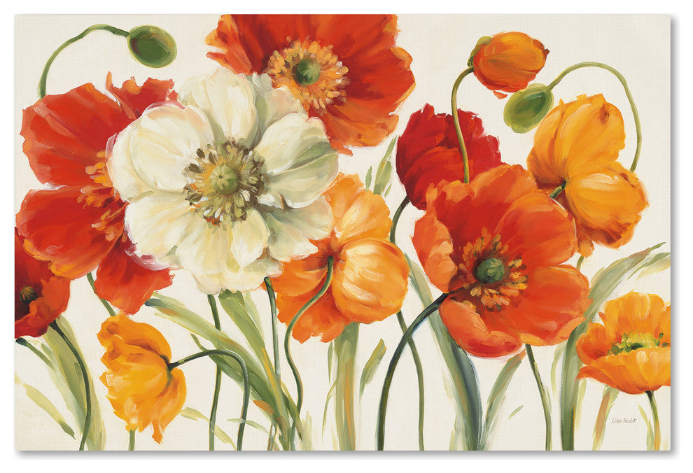 'Poppies Melody I' Canvas Art by Lisa Audit