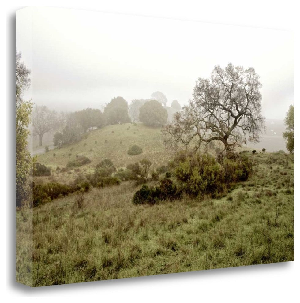 "Oak Tree - 42" By Alan Blaustein, Giclee Print on Gallery Wrap Canvas
