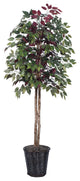 Vickerman 6' Artificial Capensia, Rattan Basket